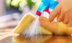 Descubre los increíbles usos del vinagre de limpieza: un aliado multiusos para el hogar